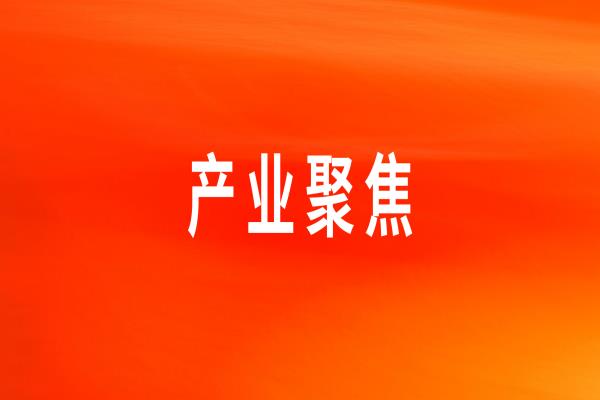 快速響應，用心服務——打造大客戶服務的“龍大美食樣板”